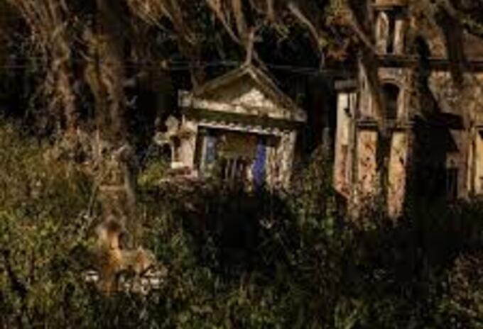 Cementerio de Toche sería postulado como un bien de interés cultural