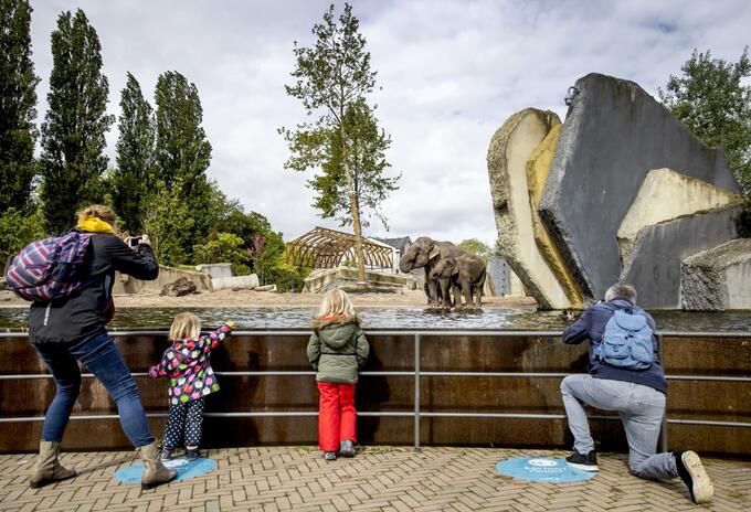 Coronavirus en Países Bajos / Zoológico en Amsterdam