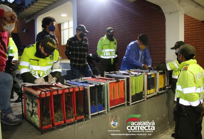 Capturados violando la cuarentena en gallera de Facatativá