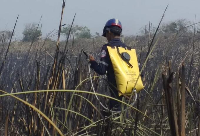 Bomberos en operativo de extinción