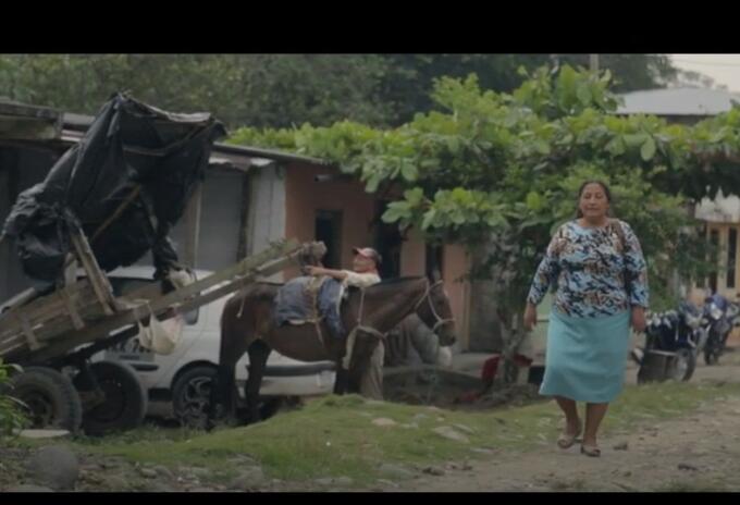 Documental El Tigre no es como lo Pintan