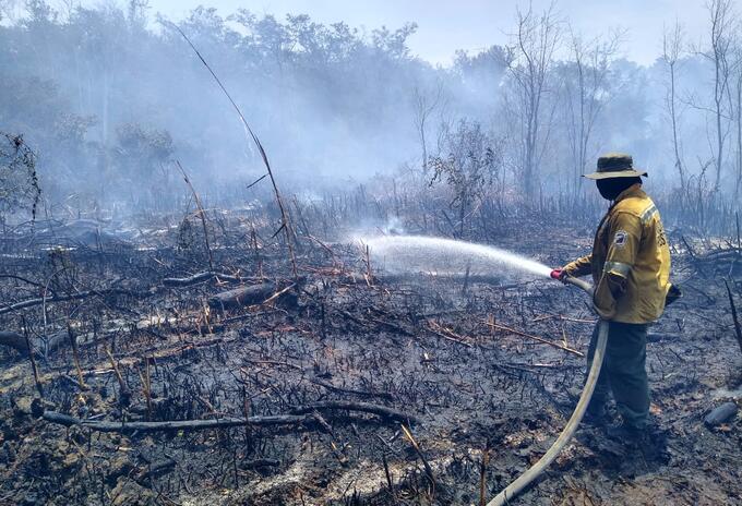 Incendio en Parque Isla de Salamanca, en Magdalena.