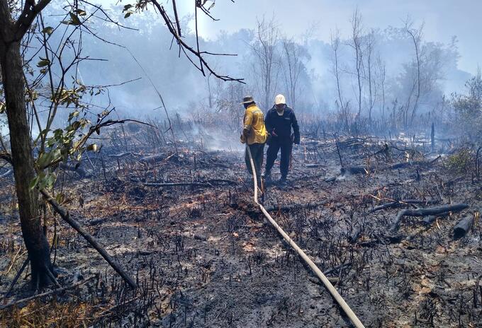 Incendio Parque Isla de Salamanca, Magdalena.