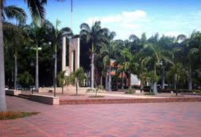 Universidad Francisco de Paula Santander