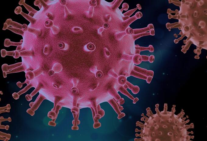 Sucre posee ya 50 casos de Coronavirus,ayer se sumaron 20 más.