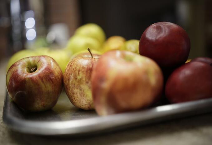 Alimentos