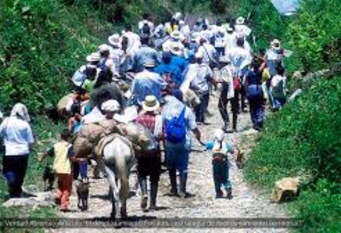 Desplazamiento de familias campesinas en Norte de Santander