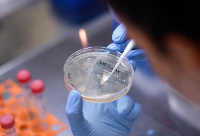 Referencia coronavirus.