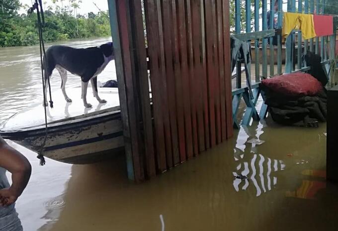 El agua ingresó a las viviendas ocasionando graves daños.