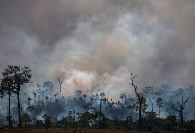 Incendios en la Amazonía brasileña