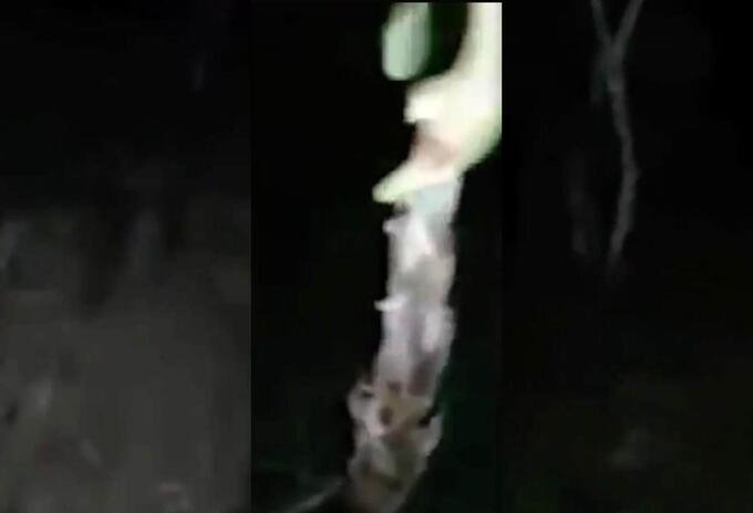 Campesino asegura ver a La Llorona