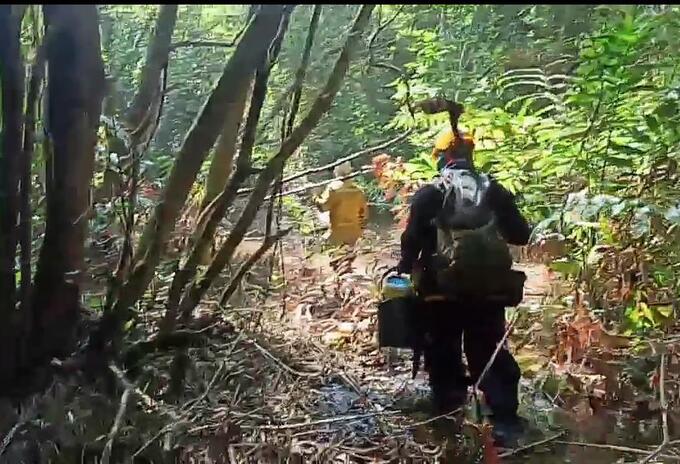 Mantienen operativo de extinción del incendio forestal