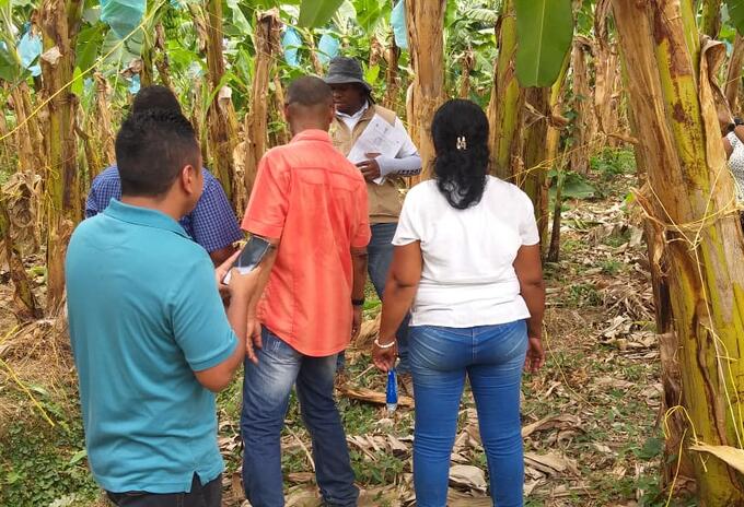 Referencia restitución de tierras en el Urabá antioqueño.