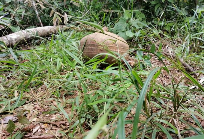 Cilindros Bomba
