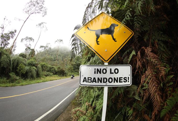 Señales instaladas en las vías donde más casos de abandono animal se han registrado.