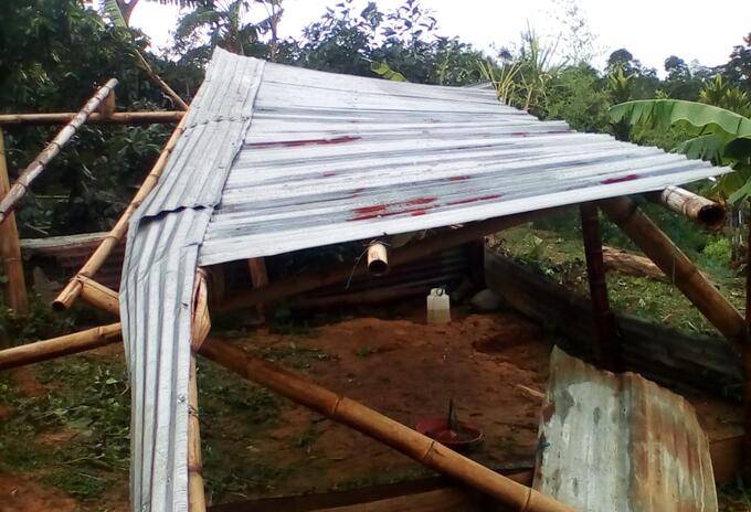 Emergencias por lluvias en Tolima