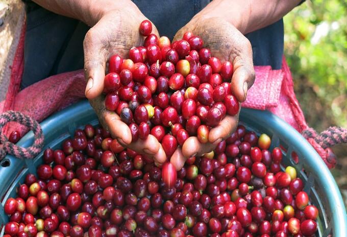 café colombiano