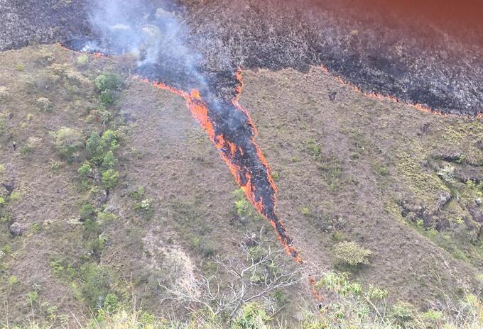Incendio forestal