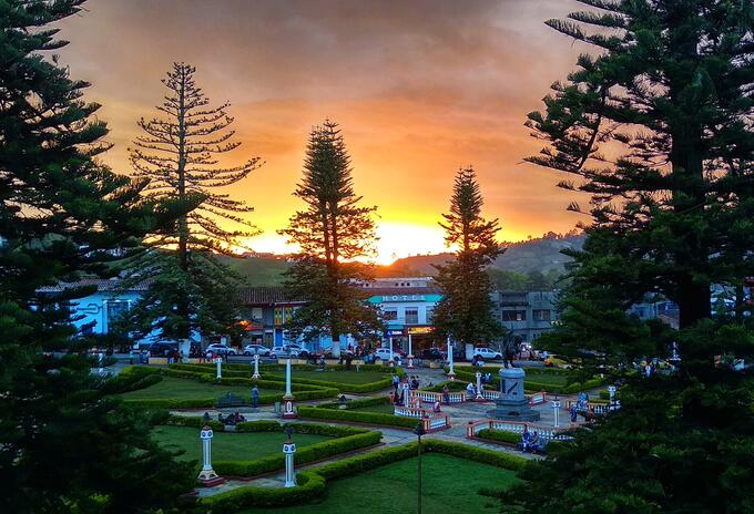 Parque de las araucarias en Santa Rosa de Cabal