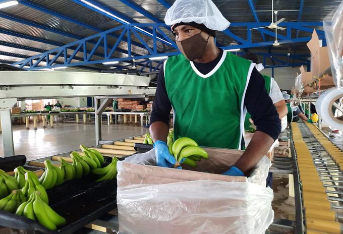 Los trabajadores aseguran que trabajan con amor por los beneficios que tienen al tener un empleo con todas las prestaciones