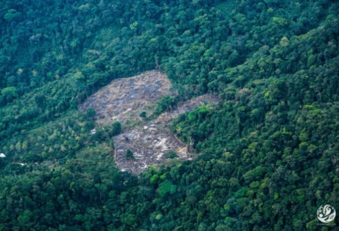 Deforestación en la Amazonia colombiana.