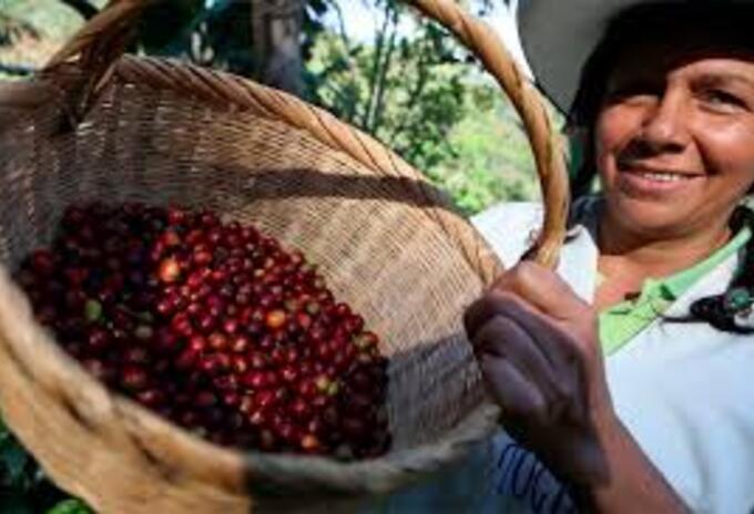 Día Internacional del Café, Boyacá, Himno