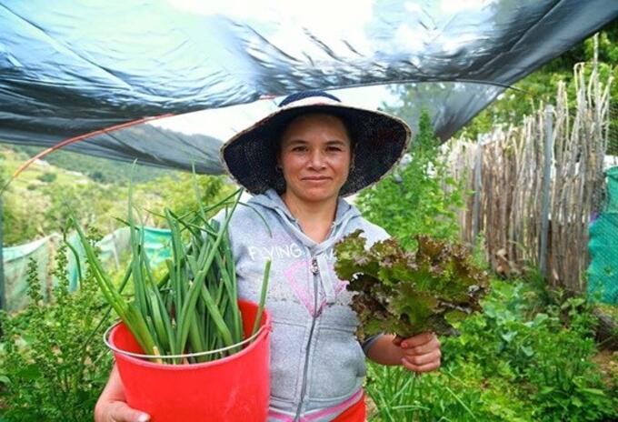 Mujeres de la zona rural