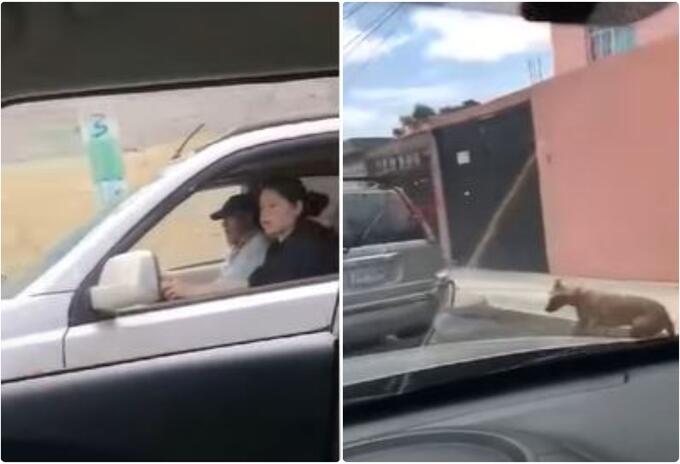 Pareja arrastró a un perro vivo desde una camioneta