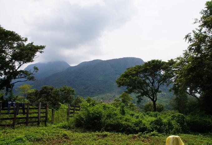 Restitución de tierras en el Tolima