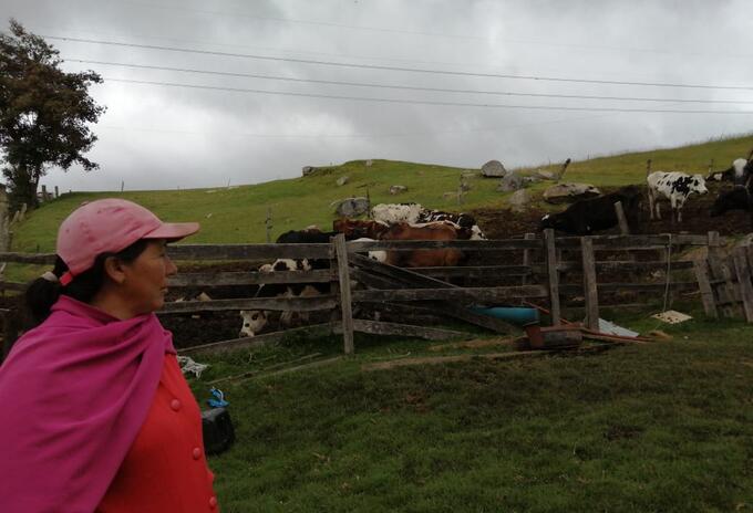 Mujeres en el campo