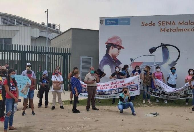 Animalistas exigen que se aclare lo ocurrido.