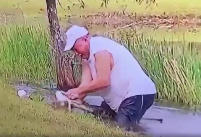 Hombre rescata a un cachorro de ser devorado por un cocodrilo Hombre rescata a un cachorro de ser devorado por un cocodrilo