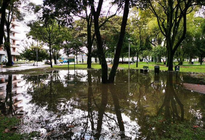 LLUVIAS EN BOGOTÁ LLUVIAS EN BOGOTÁ