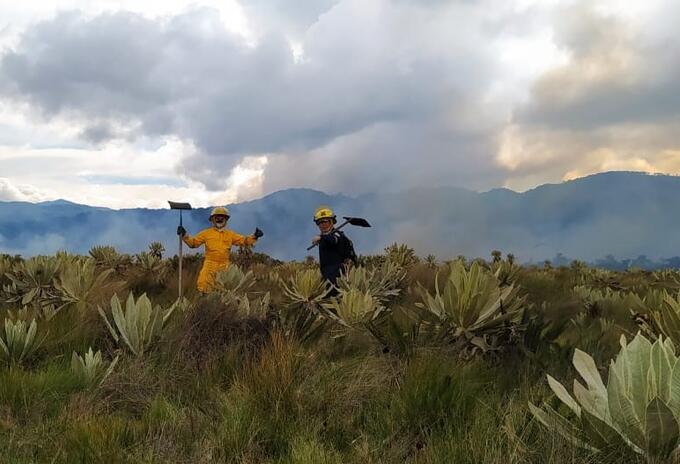 Las llamas consumieron 80 hectareas