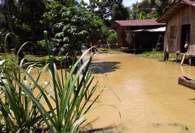 Los cultivos agrícolas, que son el sustento de muchas familias, quedaron bajo el agua.