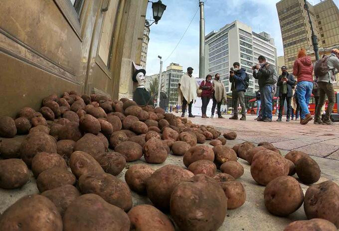 Sobreoferta de papa en Colombia: protesta de paperos en Ministerio de Agricultura
