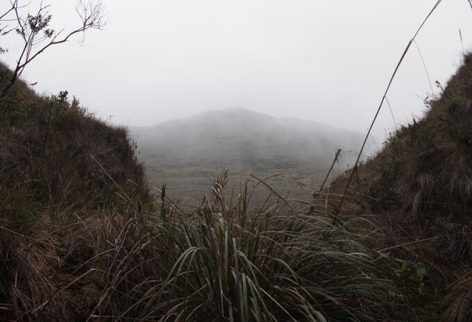 Páramo Sumapaz en Une, Cundinamarca
