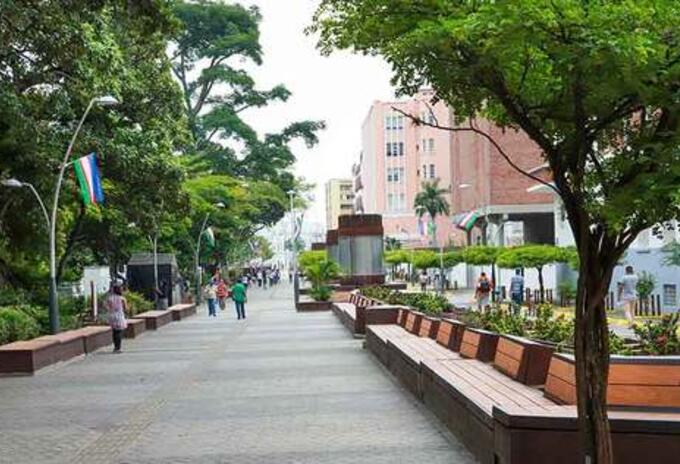 Desde la Dirección Administrativa Especial de Bienes y Servicios se ejecutarán una serie de inversiones en ornato y limpieza para este corredor peatonal y turístico durante el último bimestre de 2020.
