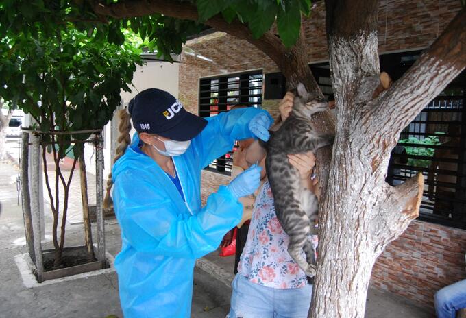 Zona de foco de rabia en Neiva.