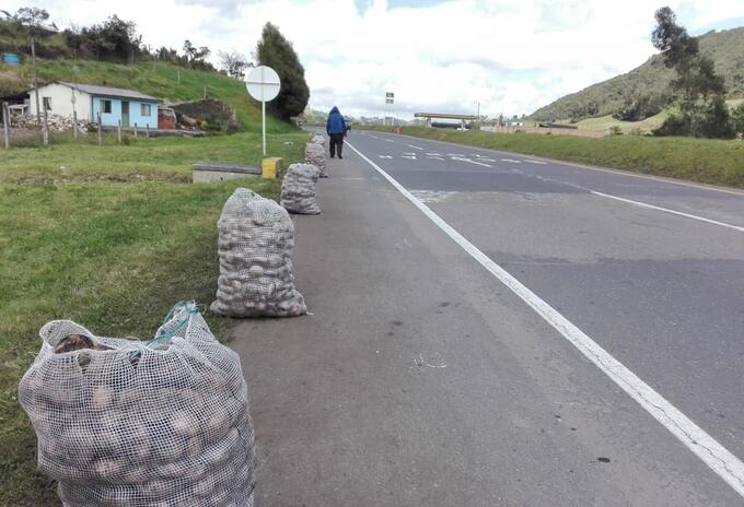 Venta, papa, Boyacá, crisis