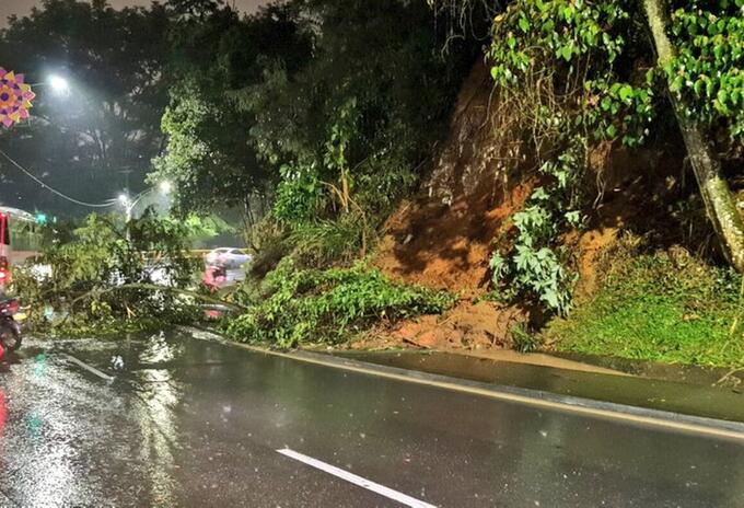 Caída de ramas en Las Palmas en Medellín.