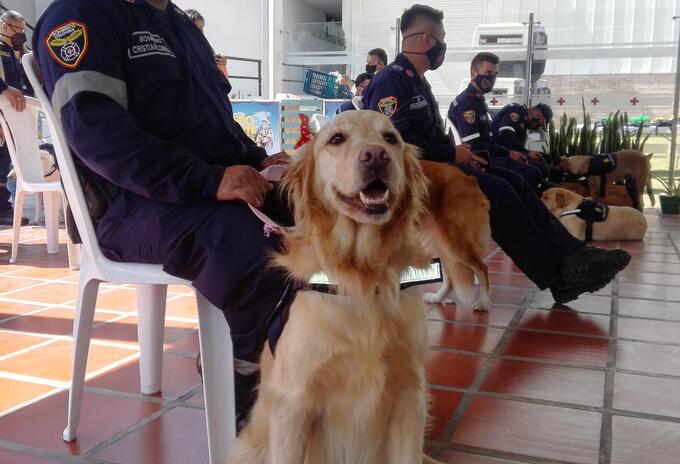 El equipo de búsqueda y rescate Canino K-SAR está presente en cuatro municipios de Caldas.