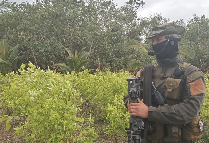 Tropas erradicando cultivos