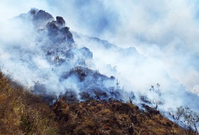 incendios forestales
