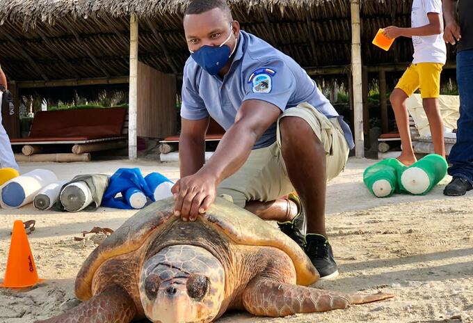 Liberación de tortugas.