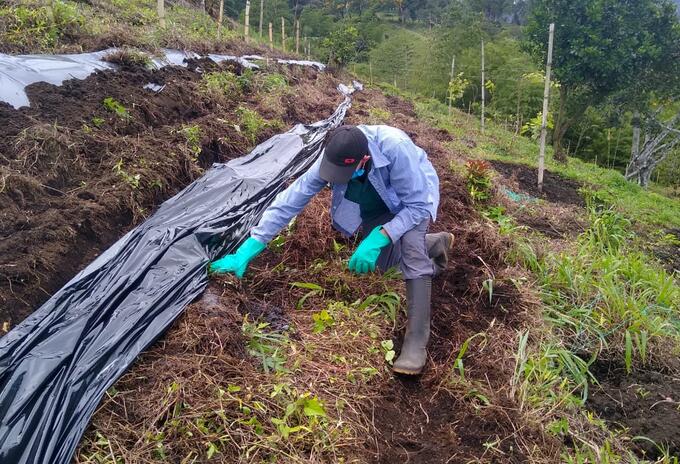 App que permite financiar a un agricultor