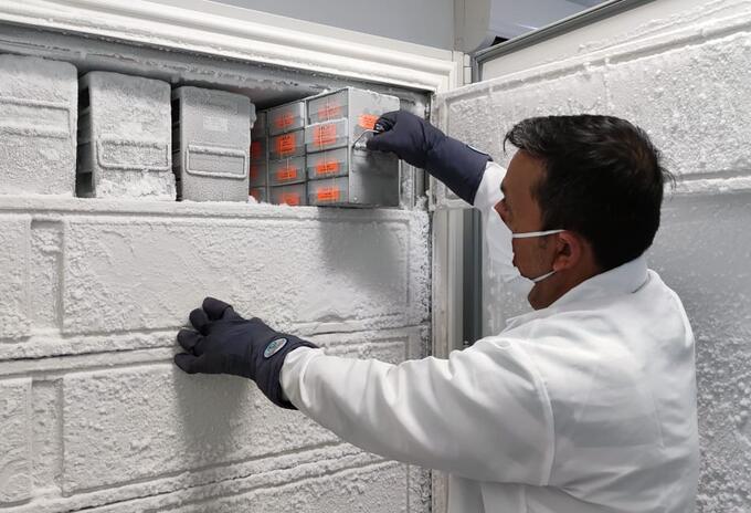 El equipo podrá almacenar las vacunas a temperaturas de hasta menos 70 grados centígrados.