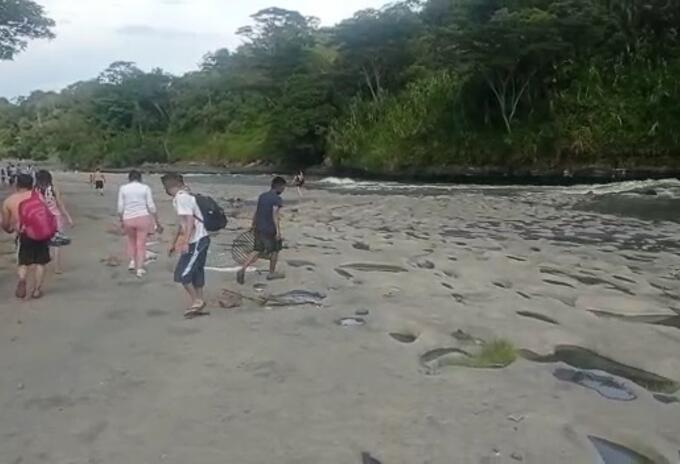 No están permitidos los paseos de olla en Santander