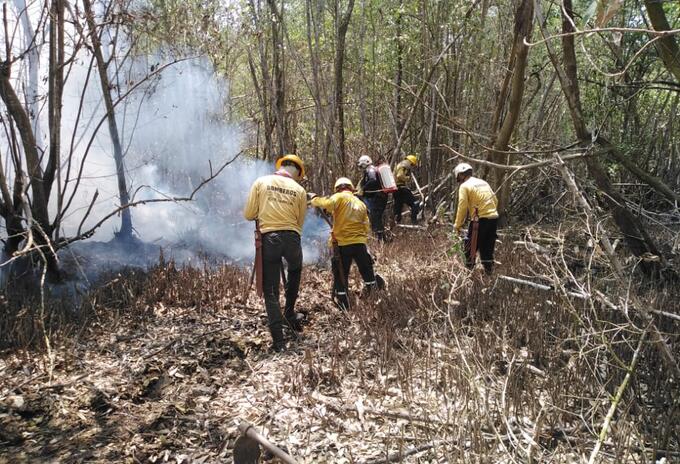 Bomberos de Sitionuevo en extinción de incendio forestal