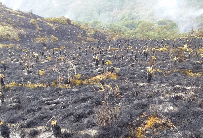 Con Bambi Bucket buscan mitigar incendio en el páramo de Santurbán